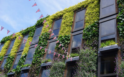 What are the advantages of a facade greening?