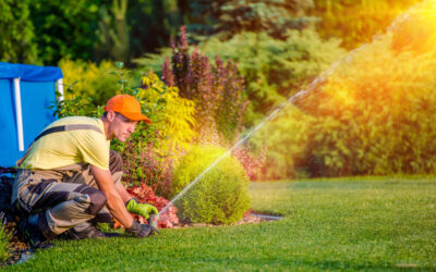 Raintime Gartenbewässerung Aktion Hunter Hydrawise