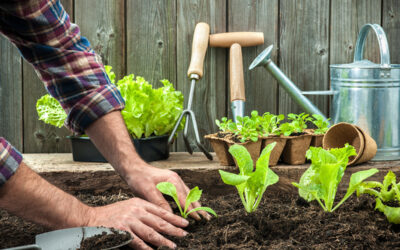 Ihr Nutzgarten im April! Tipps, Tricks & Nutzgarten Bewässerung