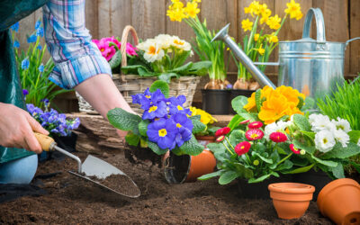 Die besten Tipps für Ihren Garten im Frühling!