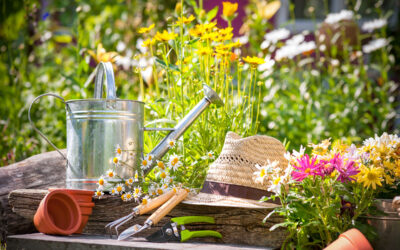 Ihr Garten im JUNI Tipps, Tricks & Bewässerung