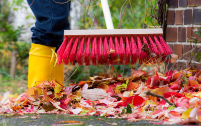 Noch mehr Gartentipps für den OKTOBER