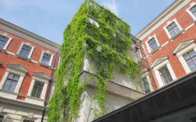 Vertical greening Nature meets architecture