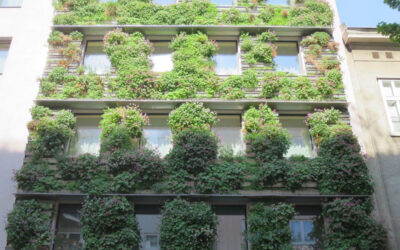 Facade greening as natural cooling