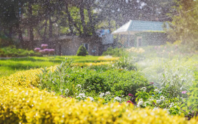 Die optimale Gartenbewässerung