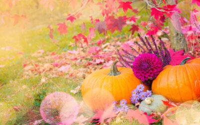 Der GARTEN im OKTOBER Ernten, Aussäen & Pflanzen