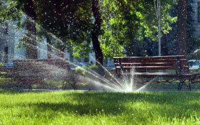 Irrigation Systems for Healthy Greenery